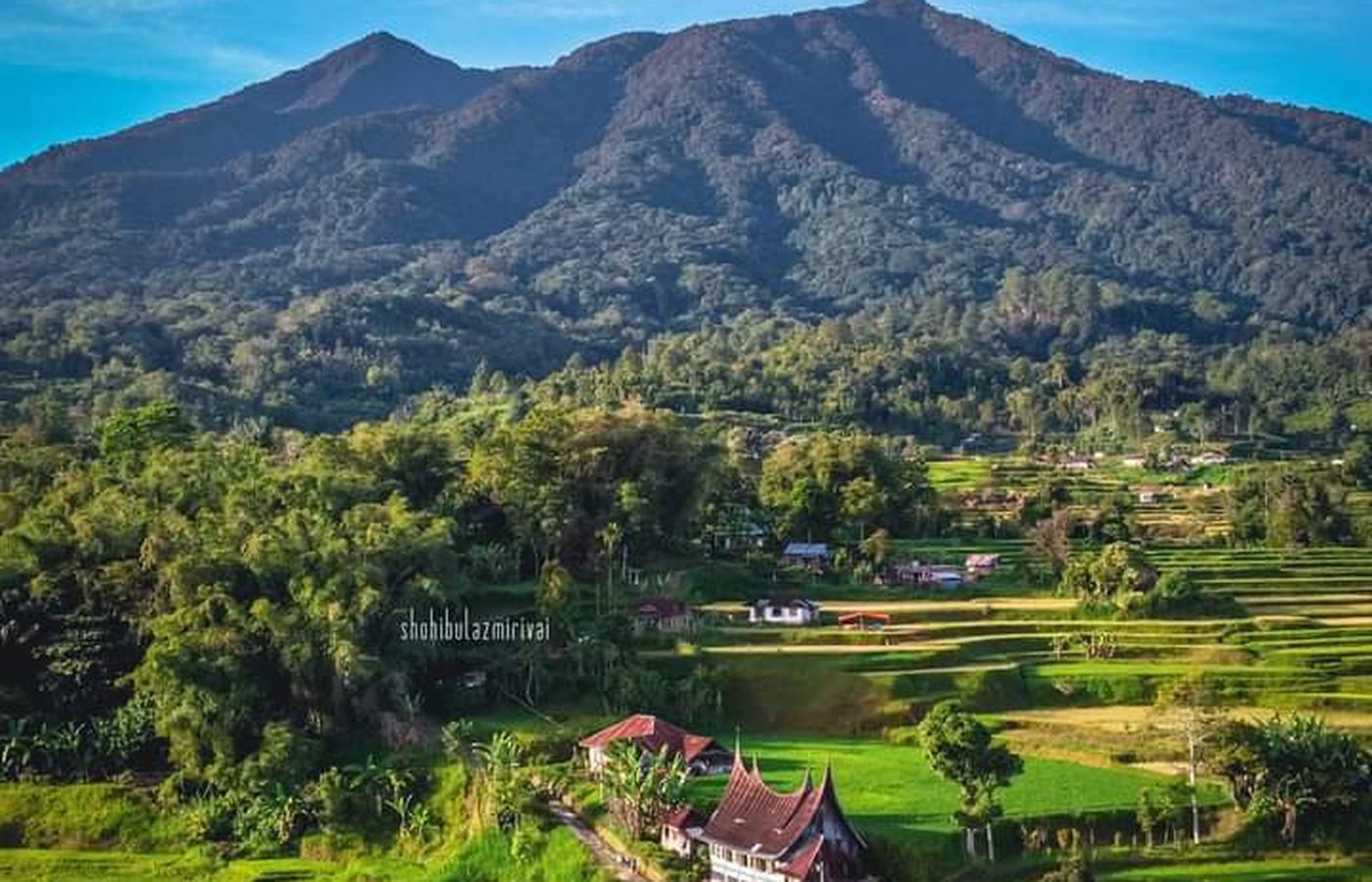 Kebun & Kelompok Tani
